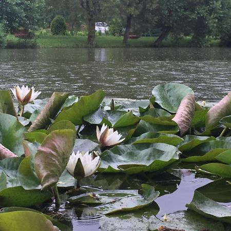 Hotel Fantanita Craiesei Făgăraş Esterno foto