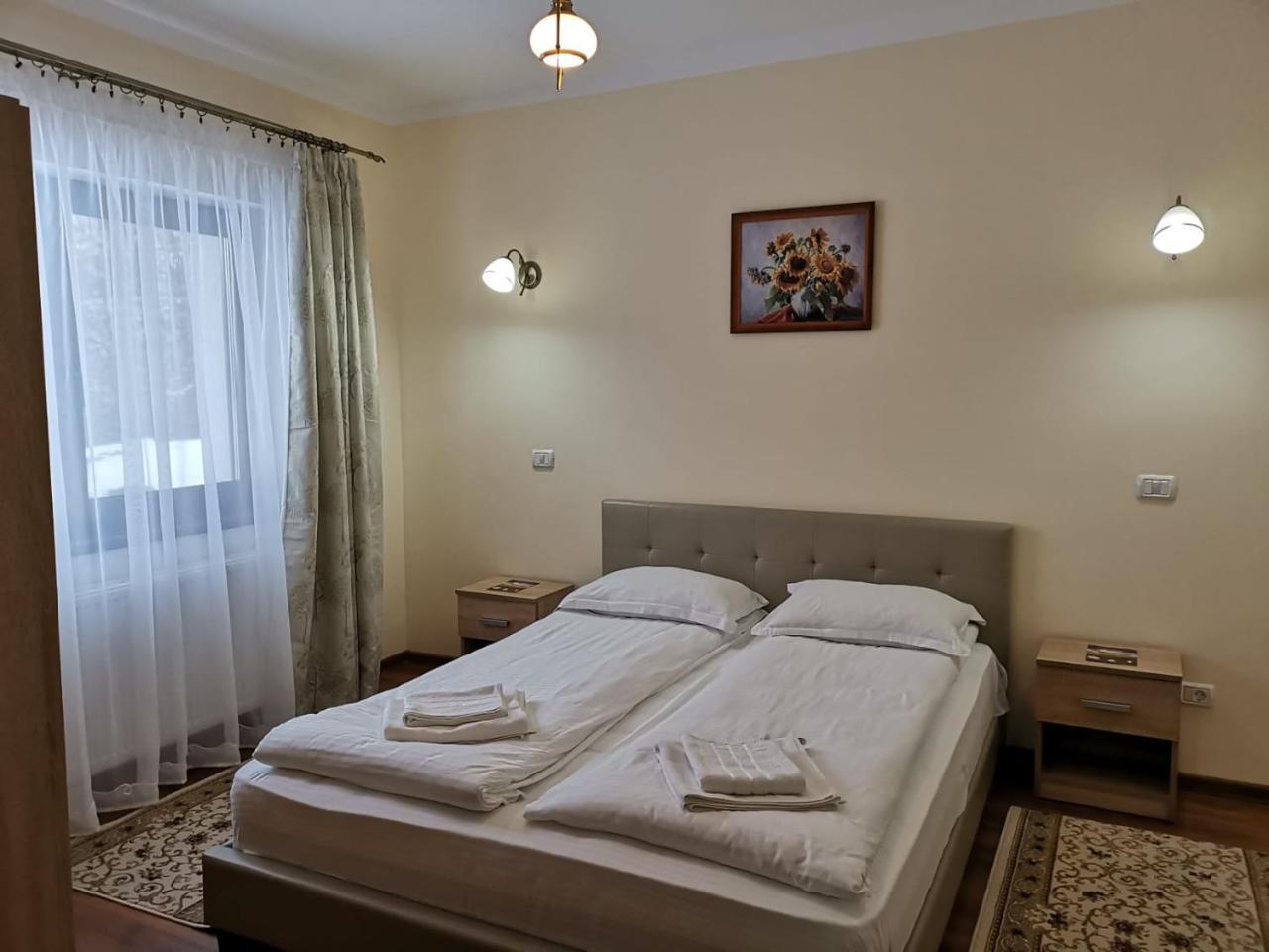 Hotel Fantanita Craiesei Făgăraş Esterno foto