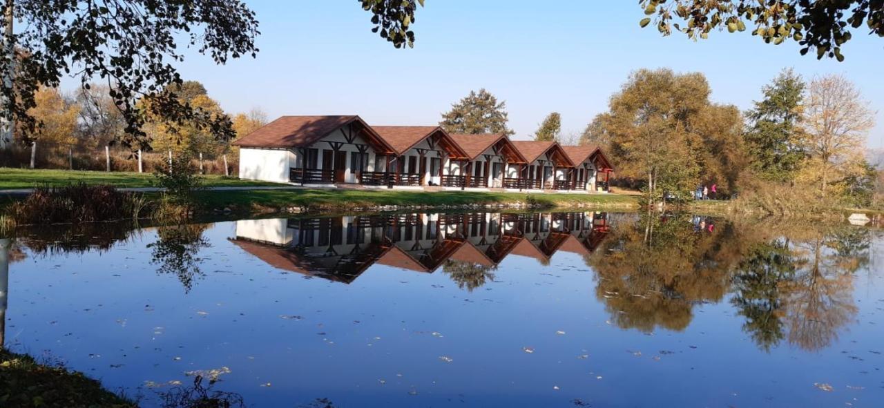 Hotel Fantanita Craiesei Făgăraş Esterno foto